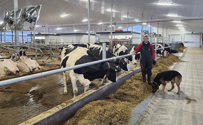 Trabajo De Agricultor Lechero En Canadá