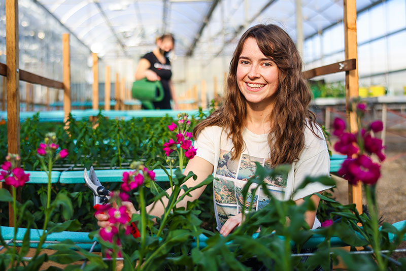 Trabajo De Horticultor En Canadá