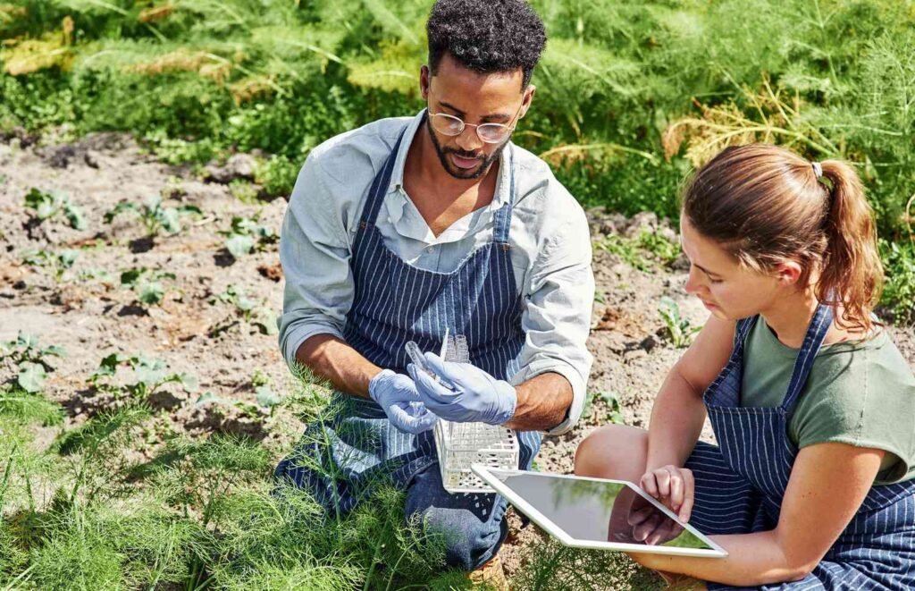 Trabajo de Técnico Agrícola en Canadá