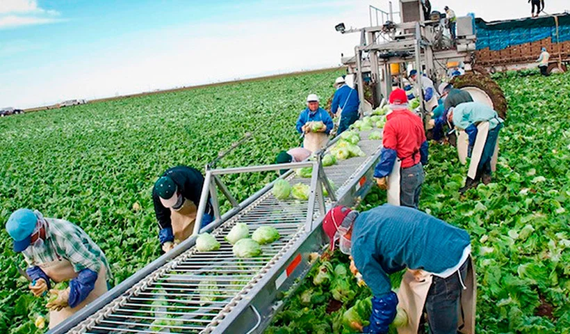 Aplicar Trabajos Agrícolas en Canadá