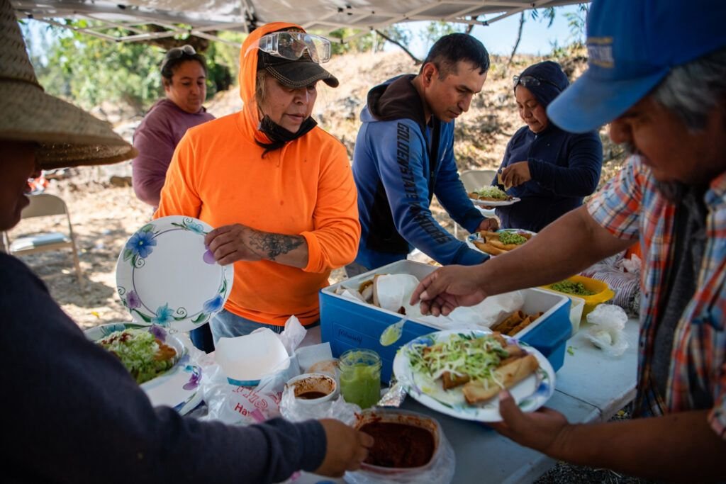 Sectores donde más trabajan los guatemaltecos en Canadá